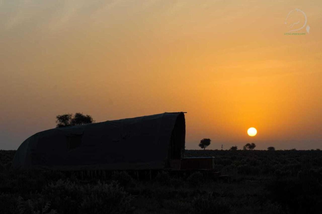 Amanya 1 -Bed King Lion Tent Amboseli Zewnętrze zdjęcie