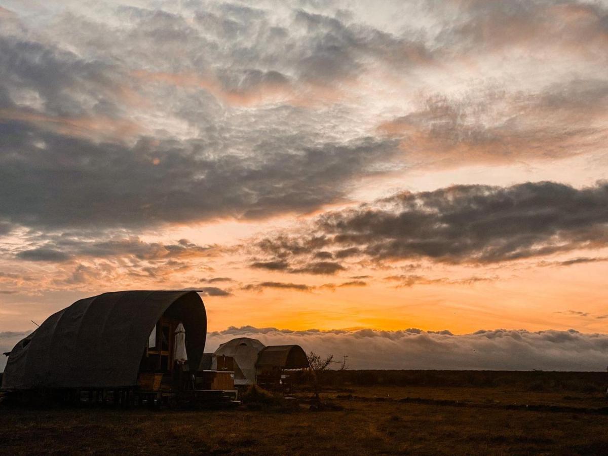 Amanya 1 -Bed King Lion Tent Amboseli Zewnętrze zdjęcie